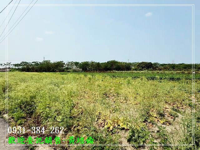 中洲火車站三面路農地