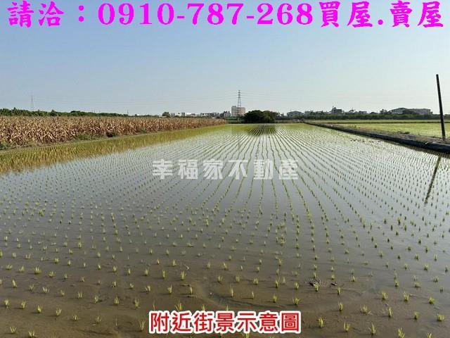 台南麻豆農地-3