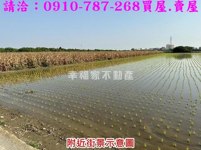 台南麻豆農地-7