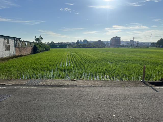 桃園中壢農地-1