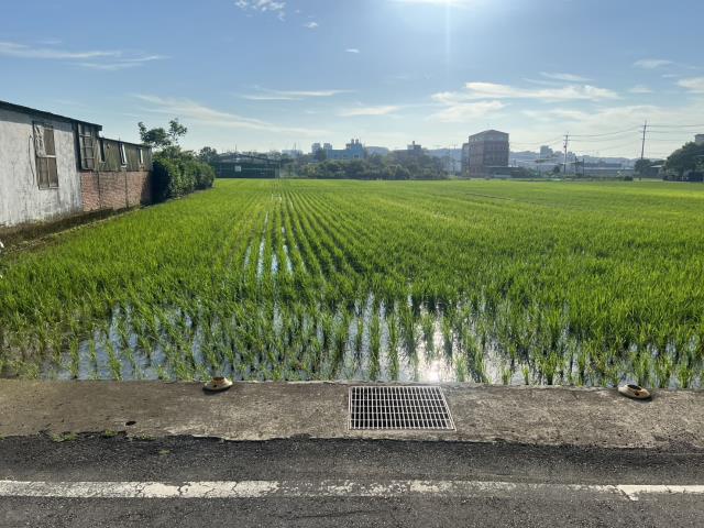 桃園中壢農地-2
