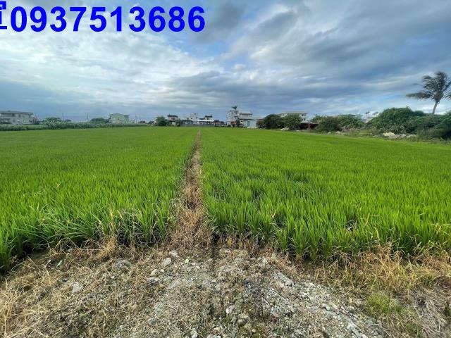 宜蘭壯圍農地-1