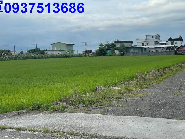 宜蘭壯圍農地-4