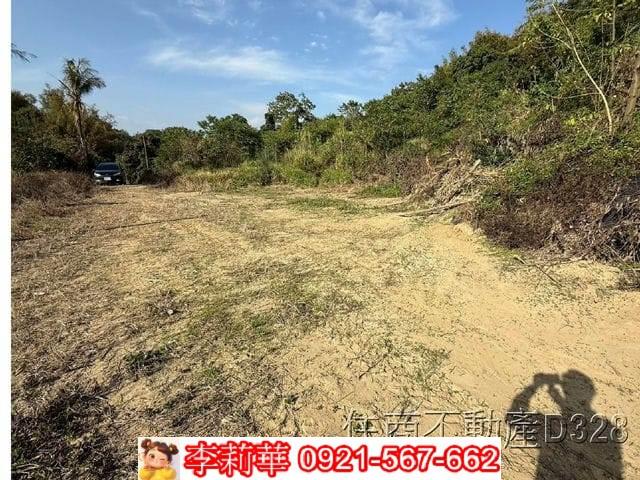 台南農地-5