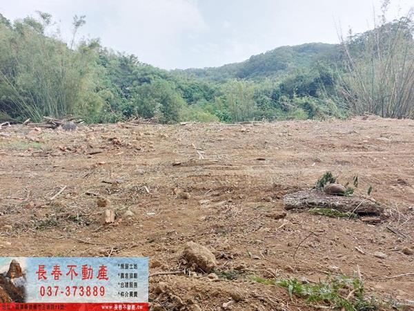 苗栗西湖農地-1