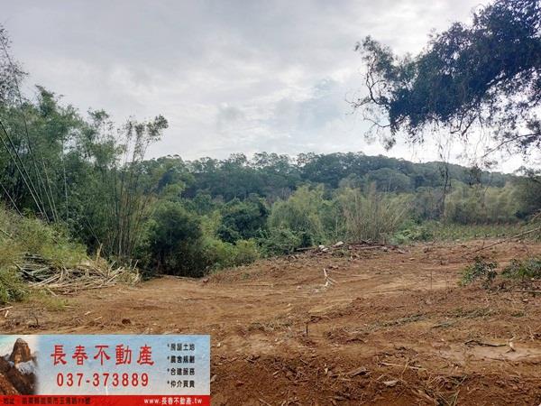 苗栗西湖農地-2