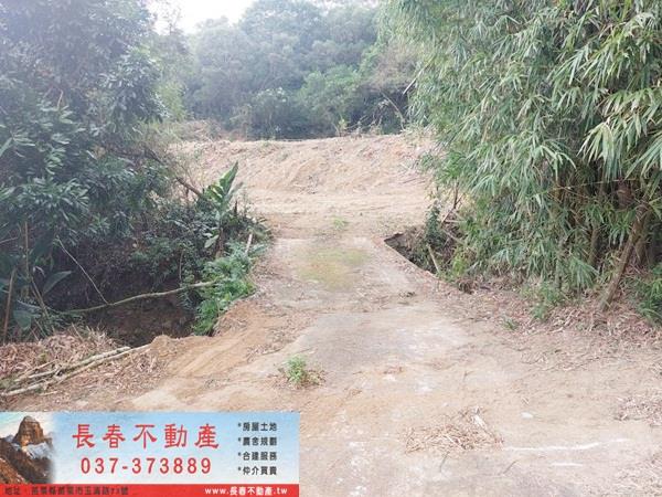 苗栗西湖農地-4