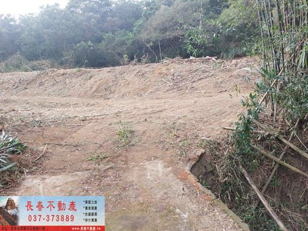 苗栗西湖農地-5