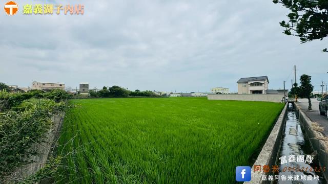 台中大甲農地-1