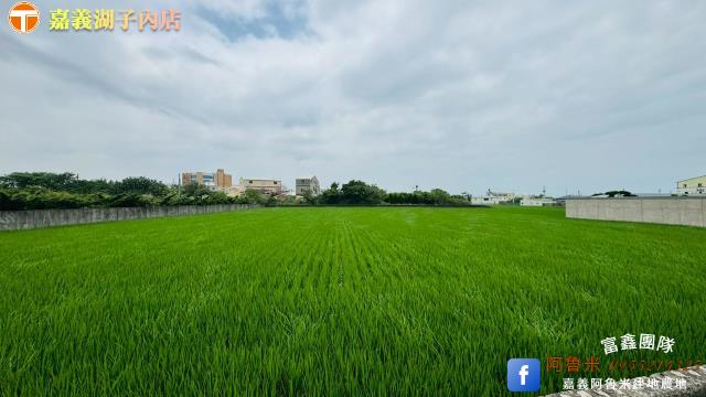 台中大甲農地-2