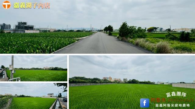 台中大甲農地-4