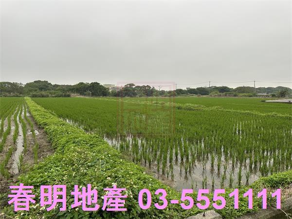 新豐農地-1