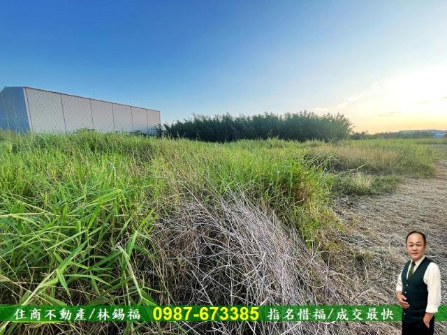 台南農地-8
