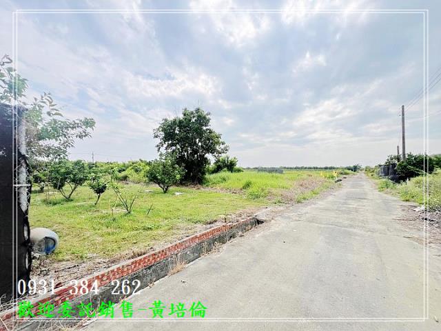 麻豆優良柚子園美農地