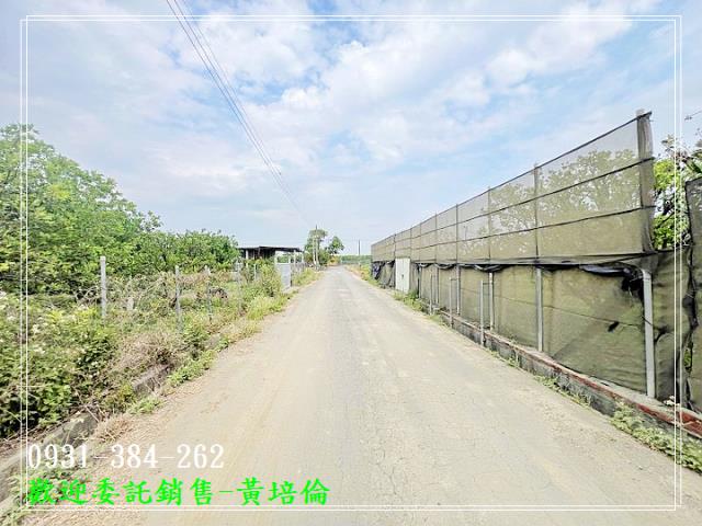 麻豆優良柚子園美農地