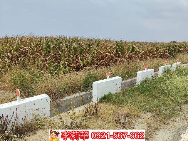 台南佳里農地-6