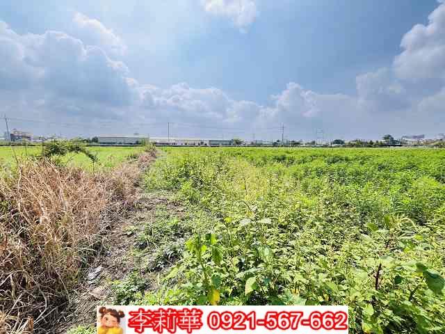 台南農地-6