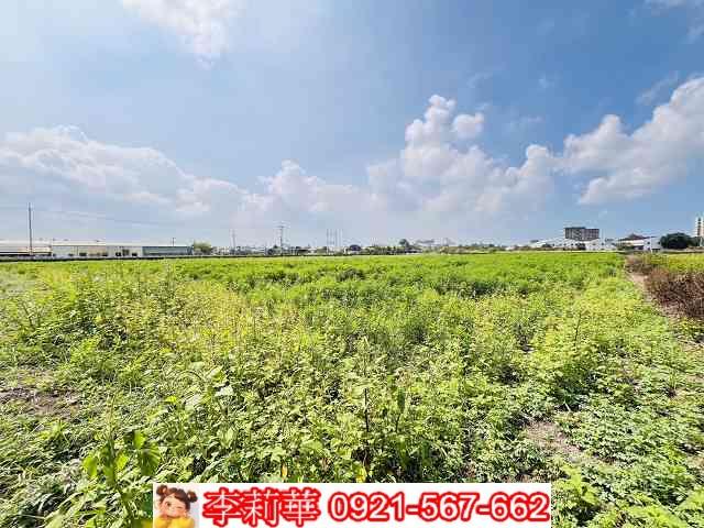 台南農地-7