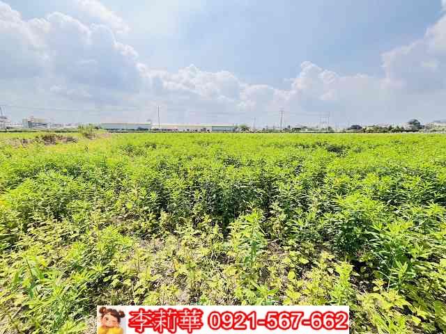 台南農地-8