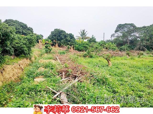 台南農地-10