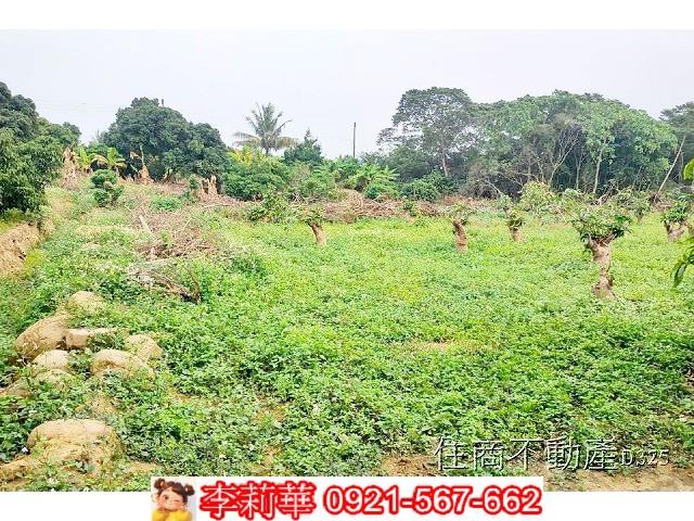 台南農地-11