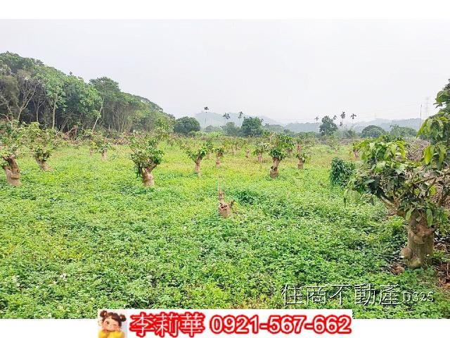 台南農地-12