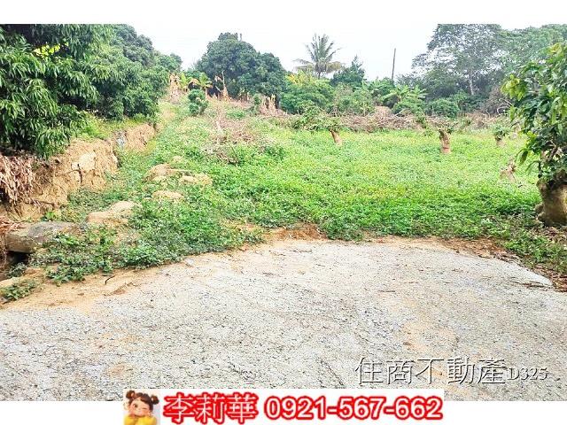 台南農地-6