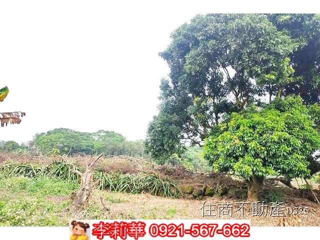 台南農地-7