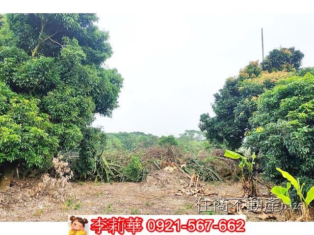 台南農地-8