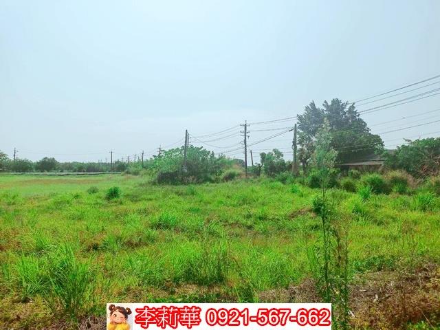 台南歸仁農地-3