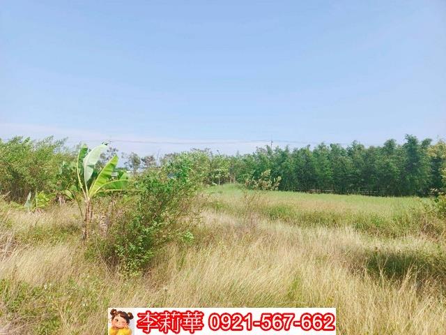 台南歸仁農地-4