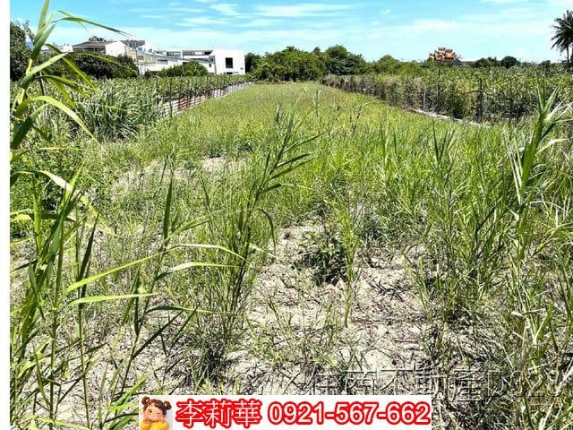台南安南農地-5