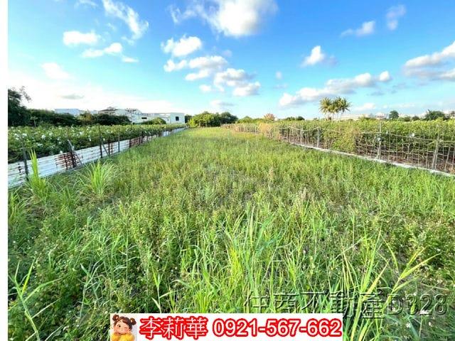 台南安南農地-6