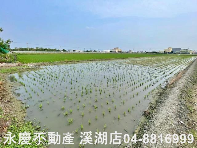 彰化埔鹽農地-11