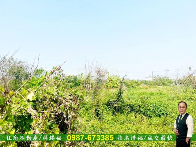 台南安定農地-13