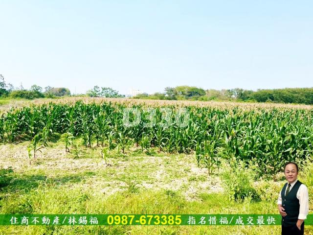 台南安定農地-14