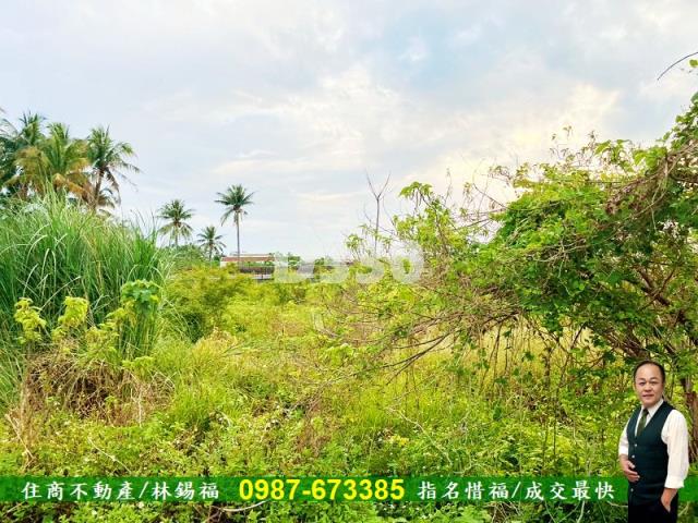 台南安定農地-4