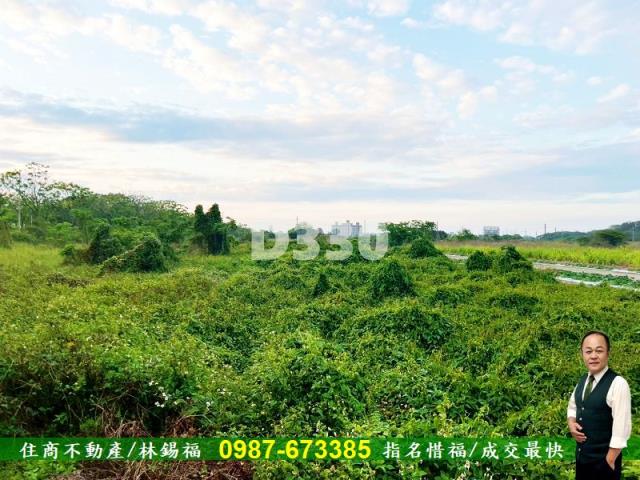 台南安定農地-5