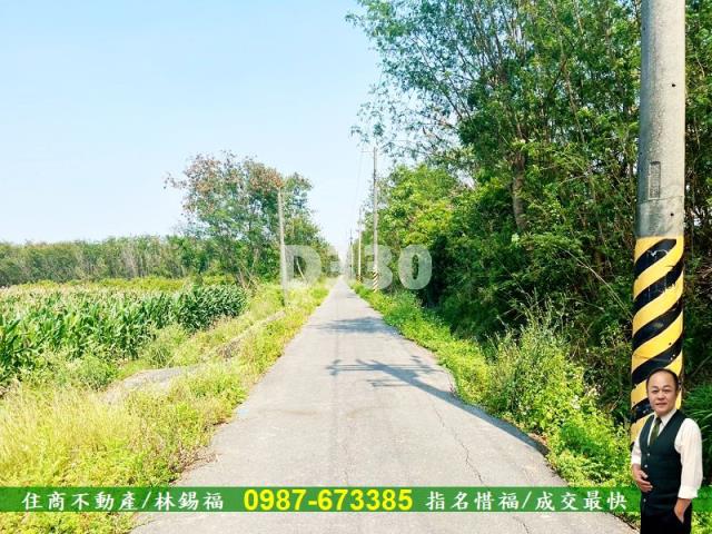 台南安定農地-7