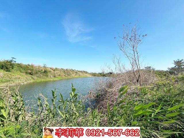 安南農地-4