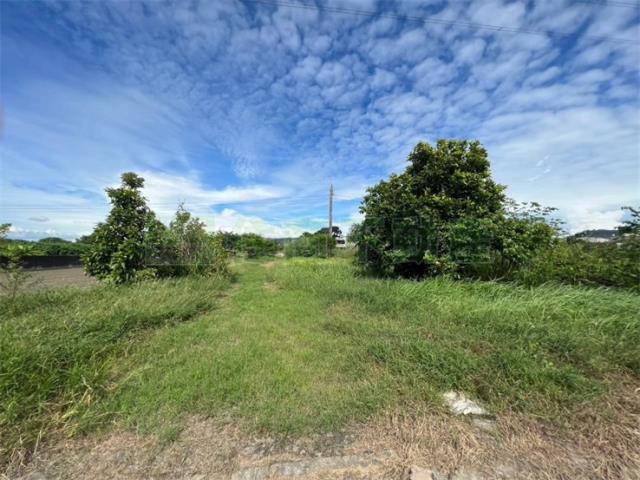 高雄岡山農地-11