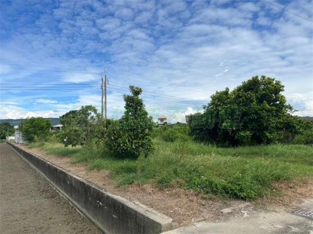 高雄岡山農地-12