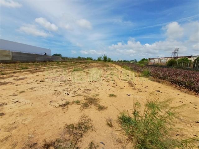 高雄大樹農地-4