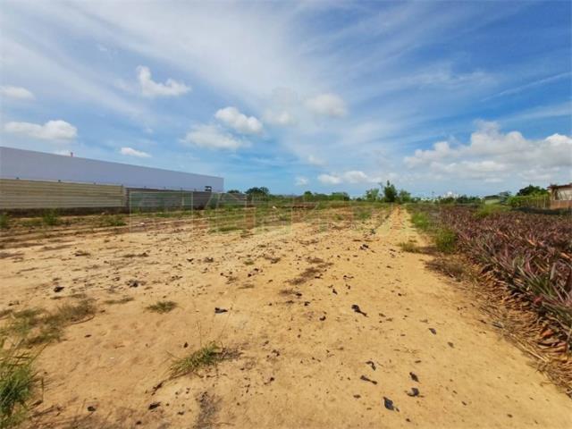 高雄大樹農地-5