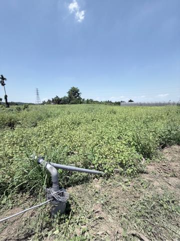 嘉義農地-2