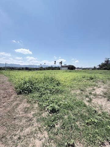 嘉義農地-5