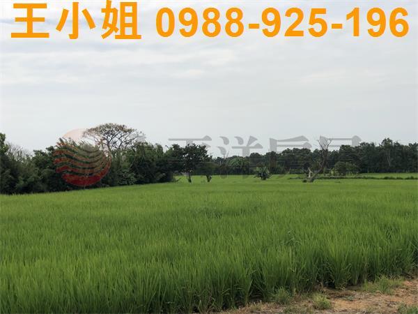 新屋東明國小東福路下田心子農地