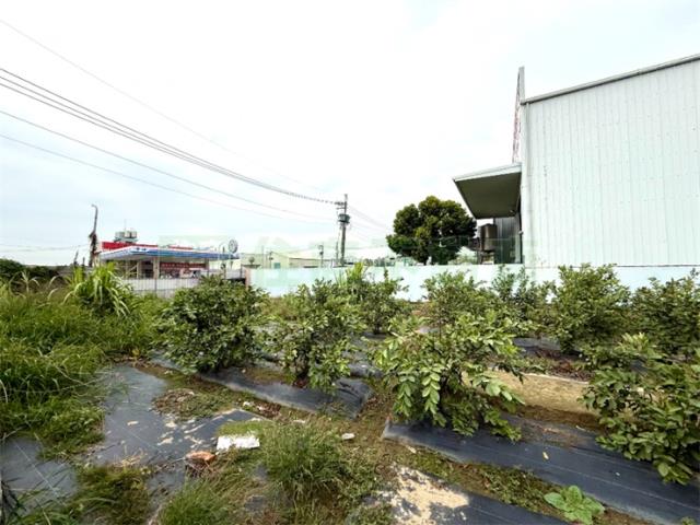高雄大寮農地-4
