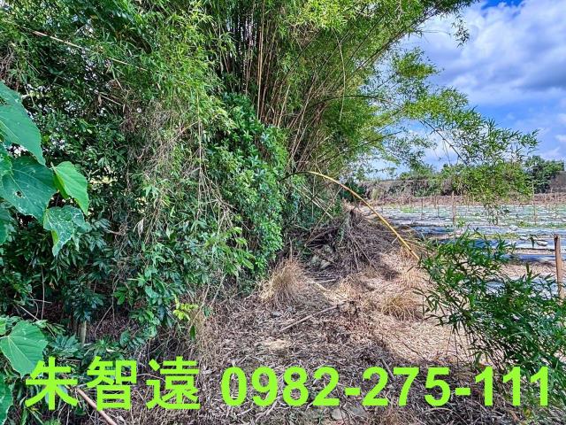 玉井農地-13