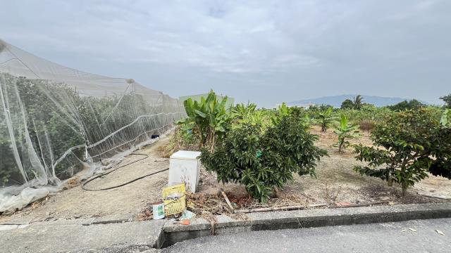 高雄岡山農地-3